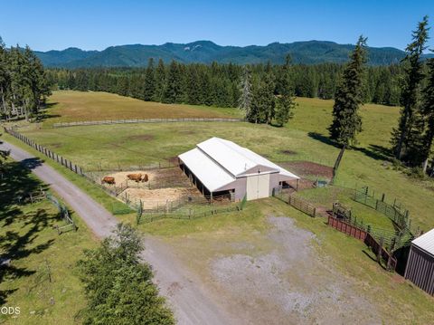 Tiny photo for 78189 High Prairie Road, Oakridge, OR 97463 (MLS # 220223882)