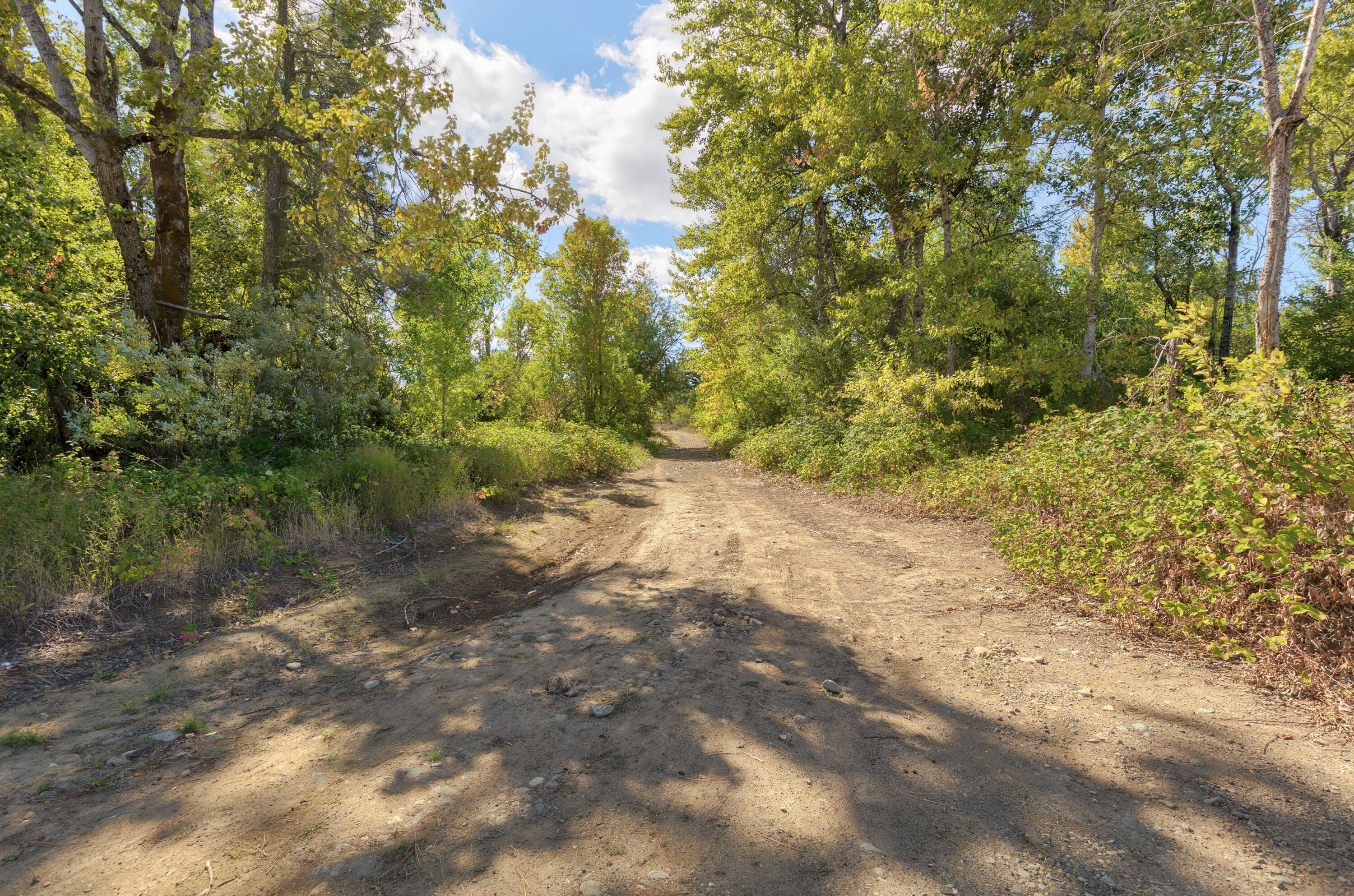 Cave Junction - Land