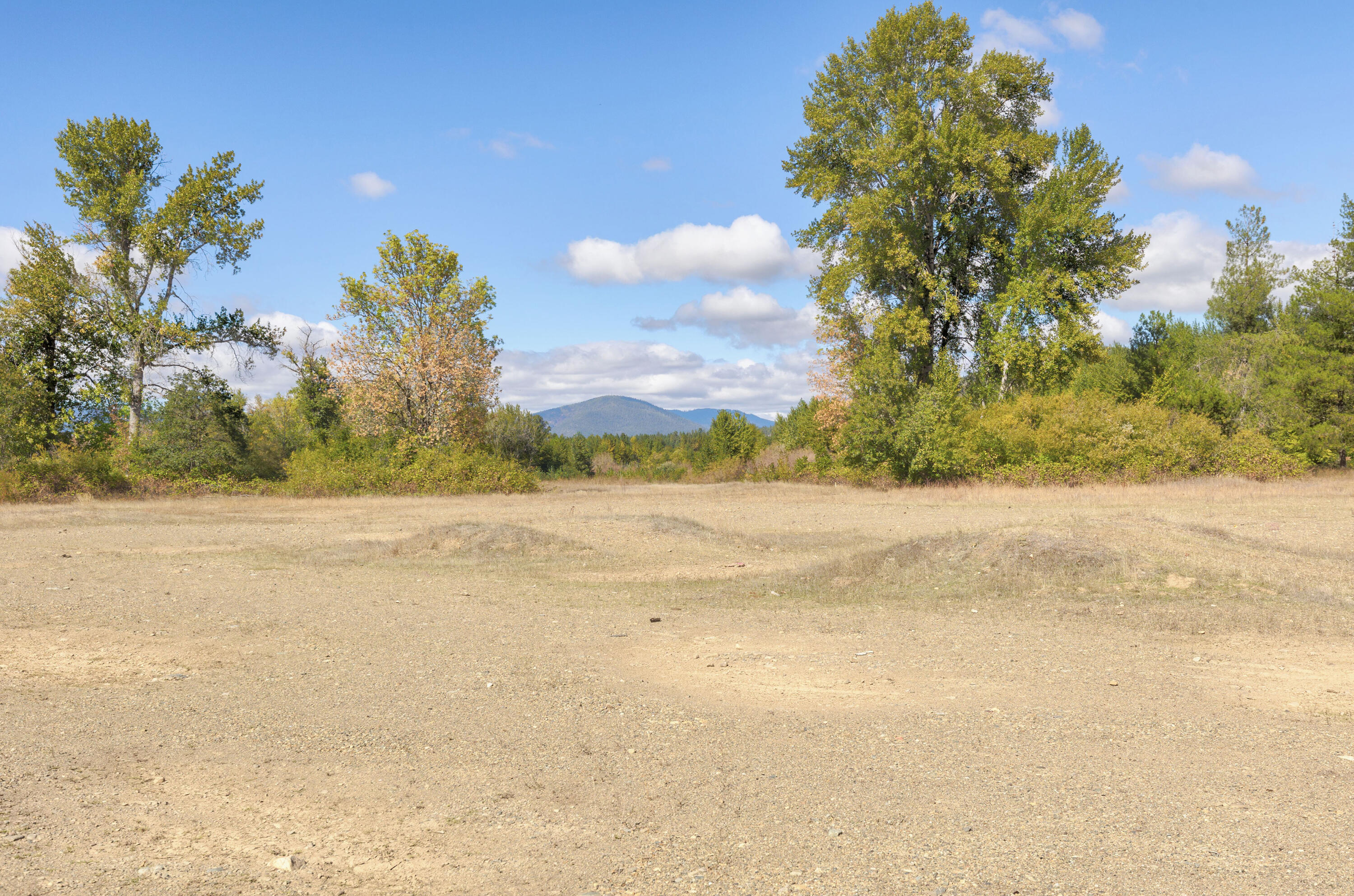 Cave Junction - Land