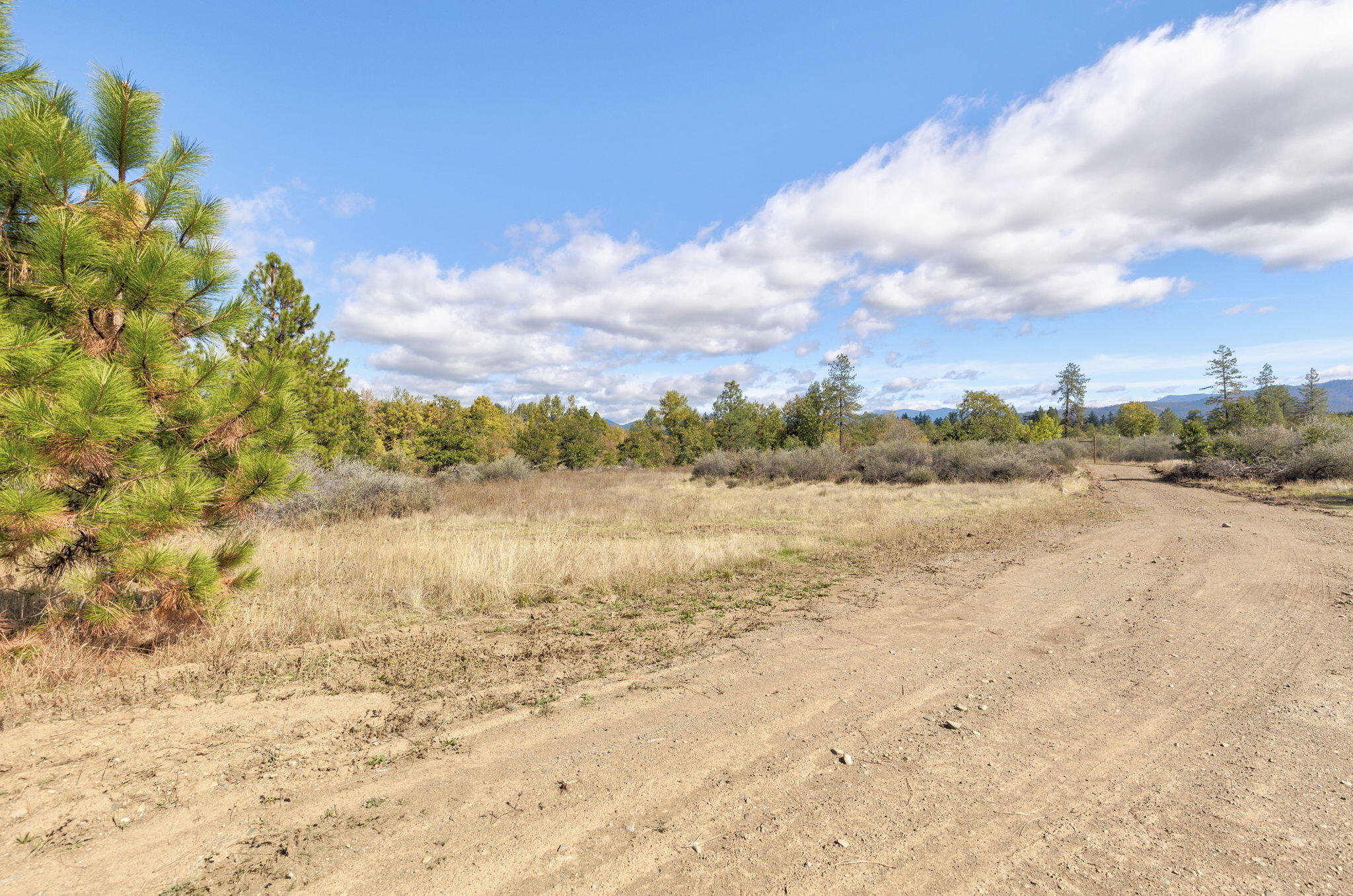 Cave Junction - Land