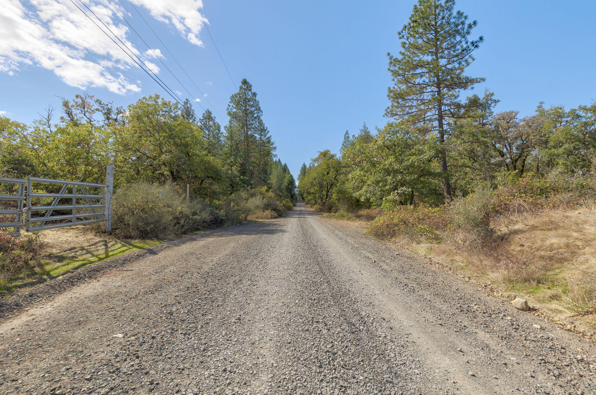 Cave Junction - Land