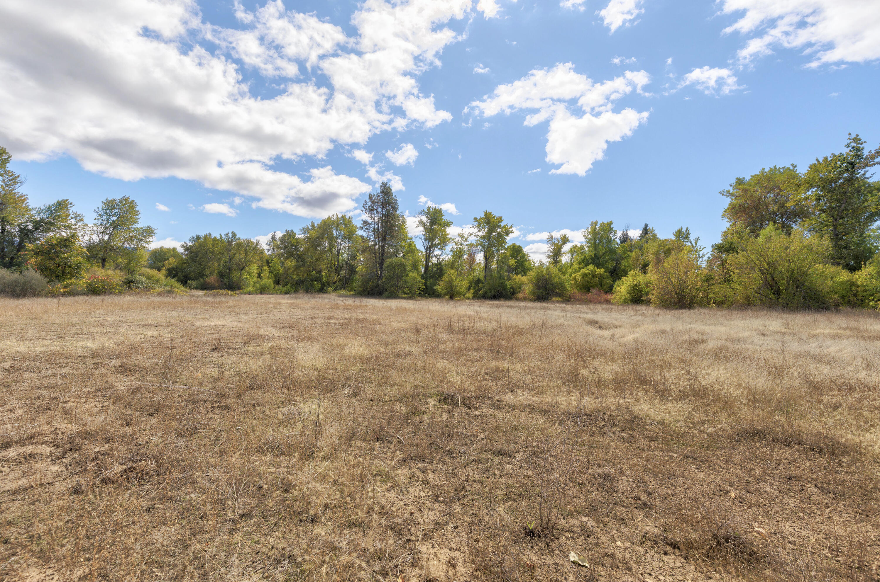 Cave Junction - Land