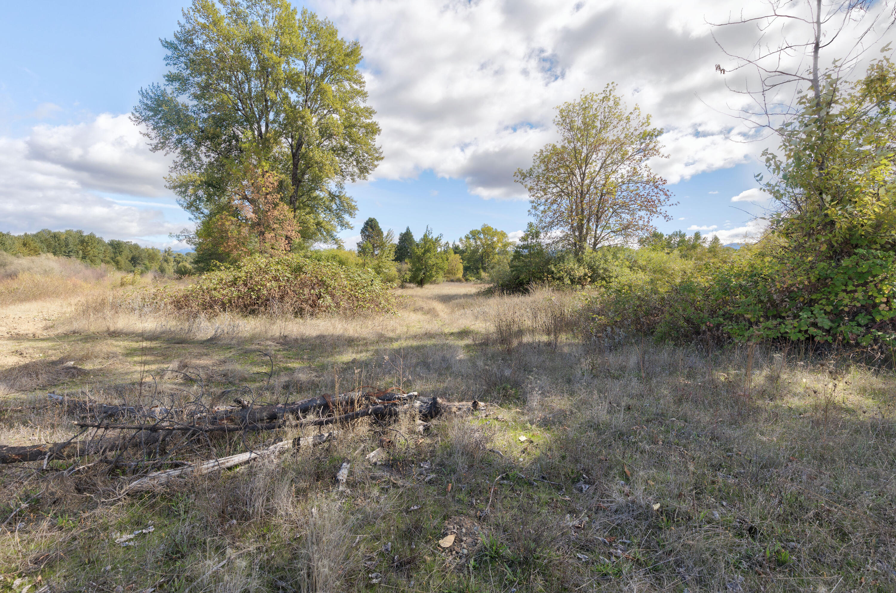 Cave Junction - Land