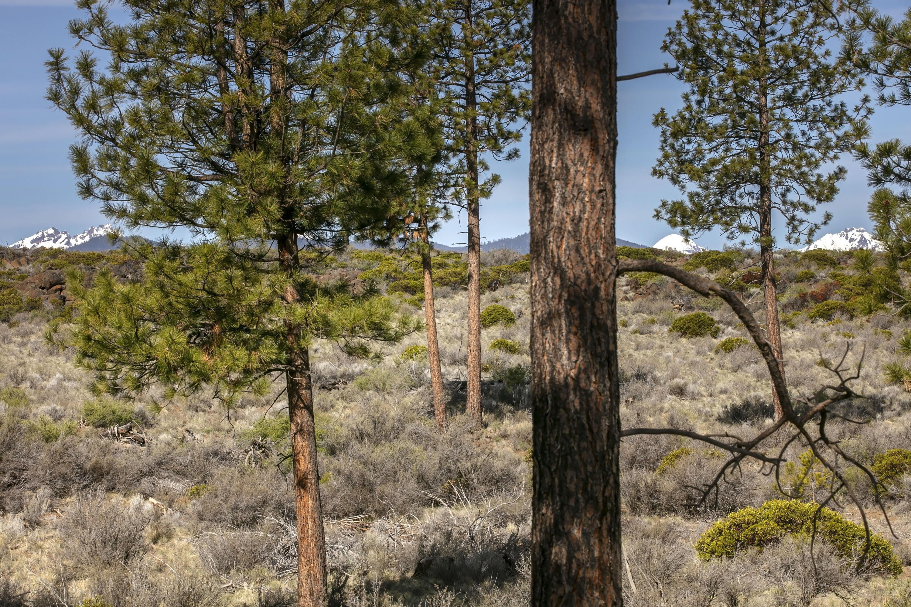 Shevlin West - Residential