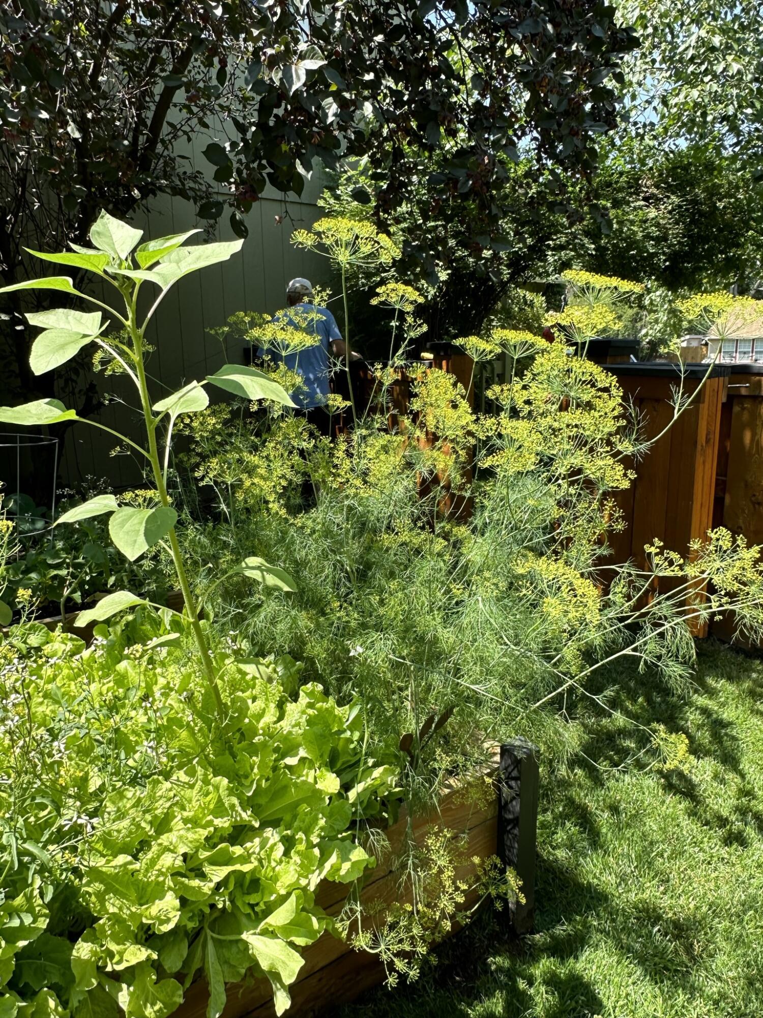 Providence - Residential