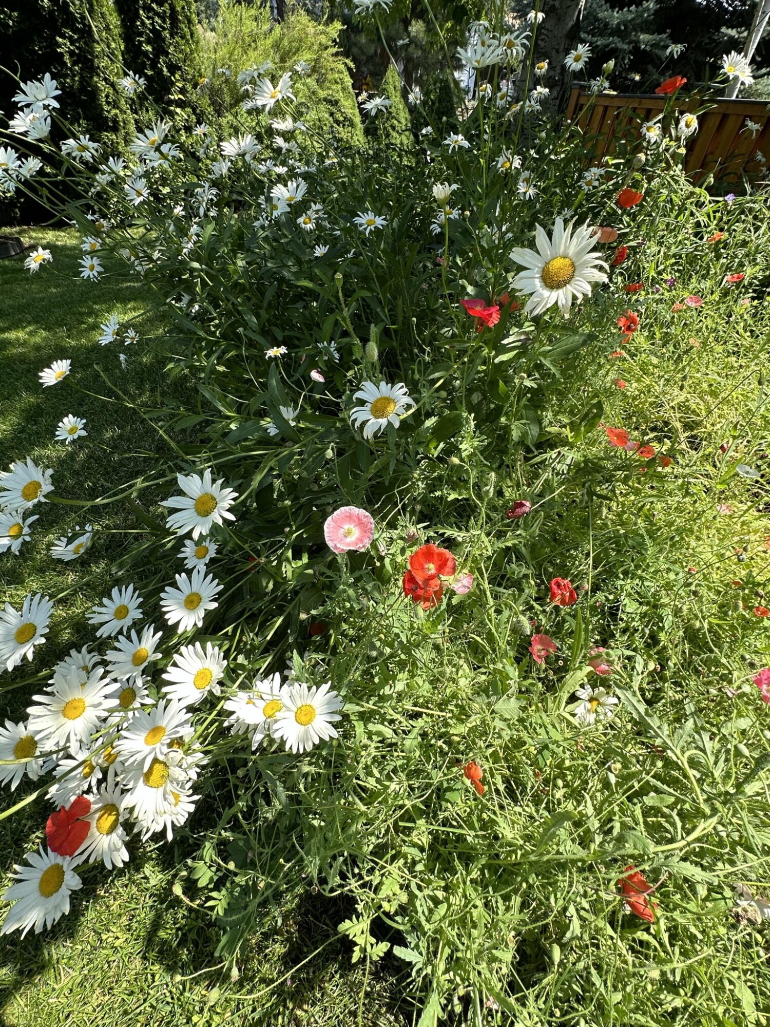 Providence - Residential