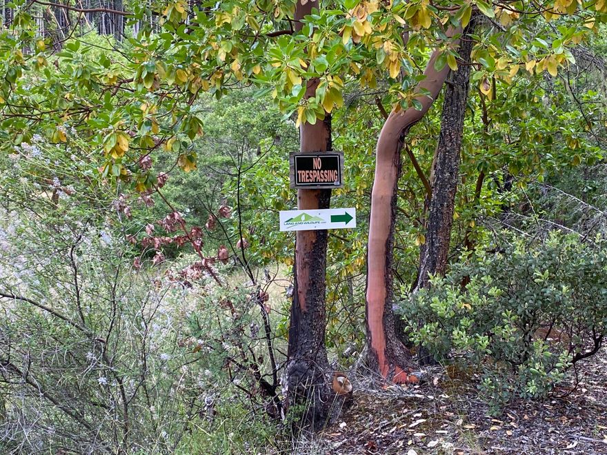 Forested 60 acres off of Redwood Highway in Wilderville outside of Grants Pass, Oregon. Currently no improvements on the property (well, septic, structures). Some internal roads. The elevations ranges from approx 1300-1700 feet. Merchantable timber- no cruise data on file. Adjoining 150 acres also available.