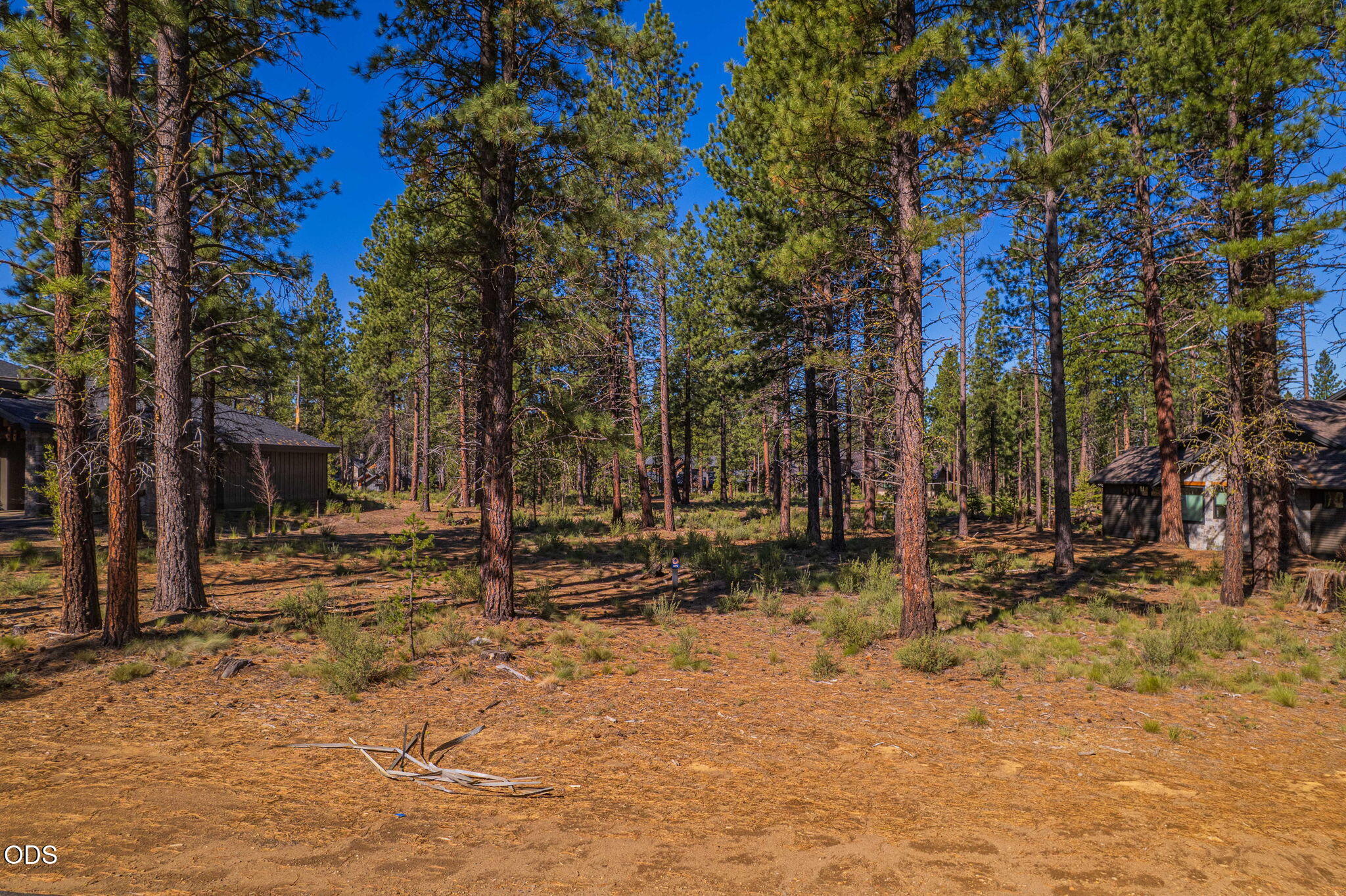 56342 Mirror Rock Loop 359
