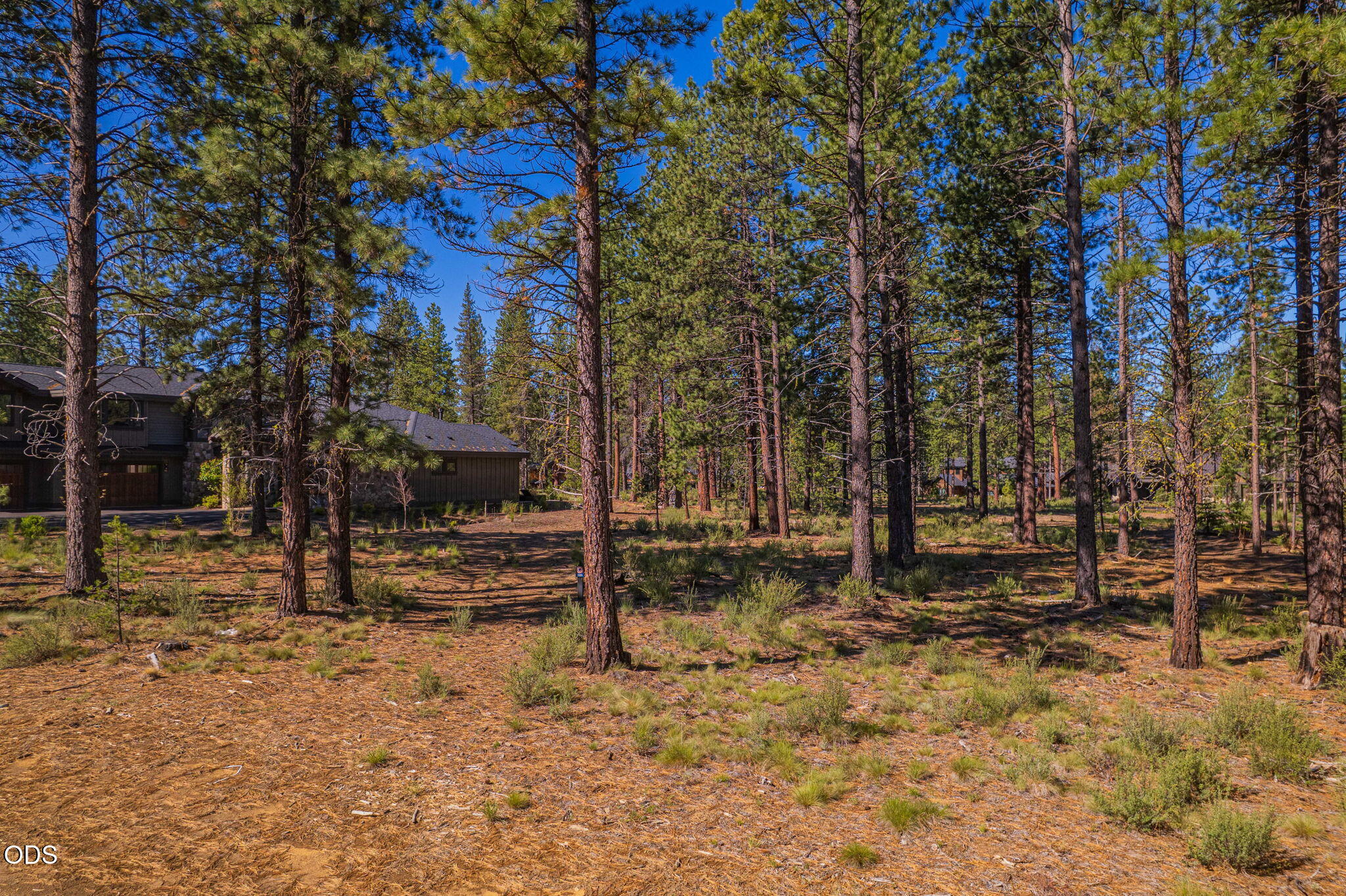 56342 Mirror Rock Loop 359