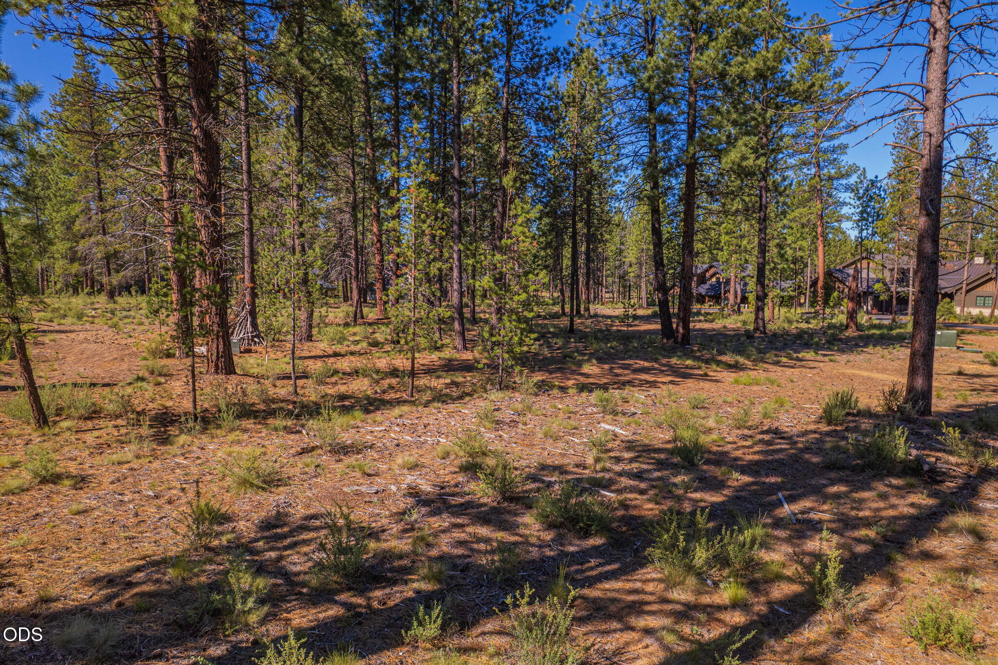 56342 Mirror Rock Loop 359