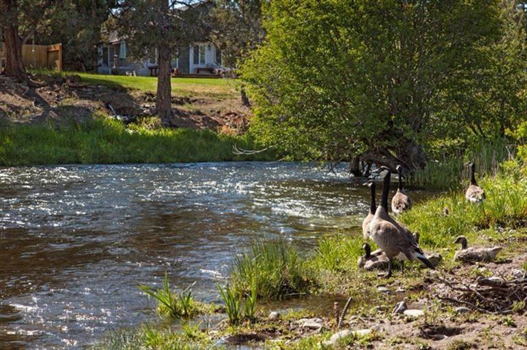 Townsite Of Laidlaw - Land