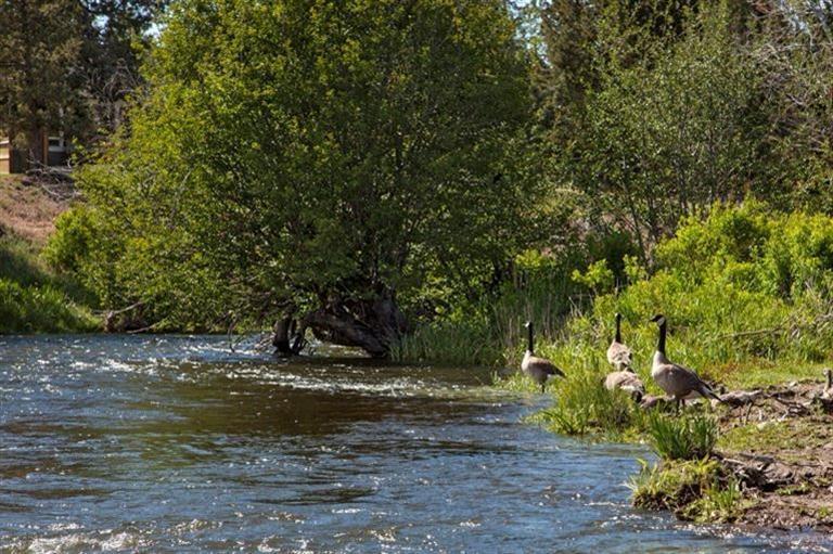 Townsite Of Laidlaw - Land