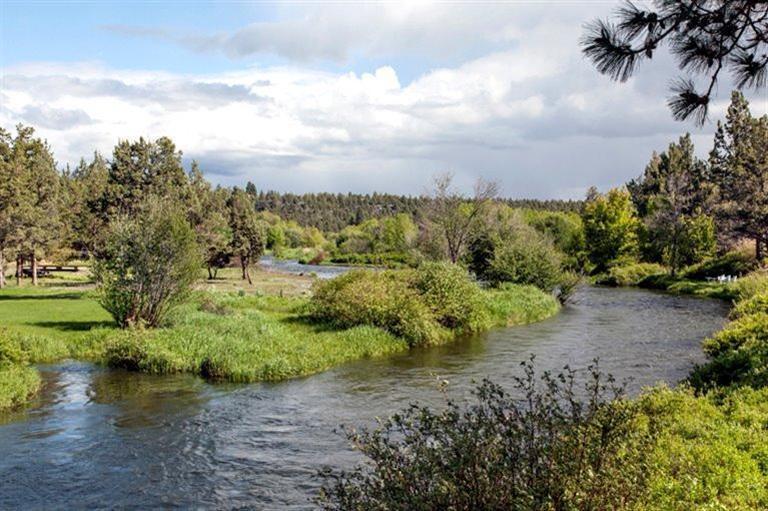 Townsite Of Laidlaw - Land