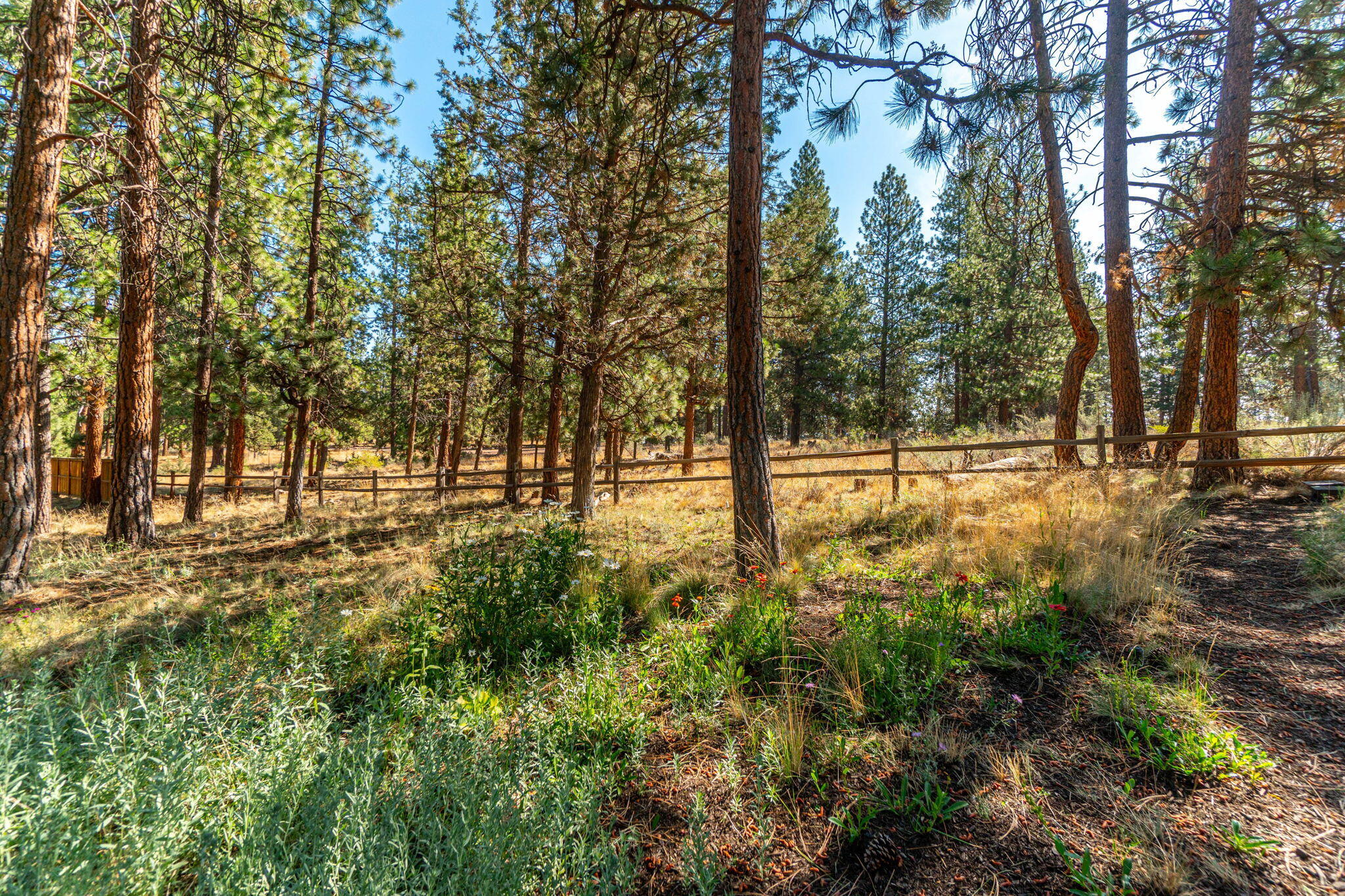 Skyliner Summit - Residential