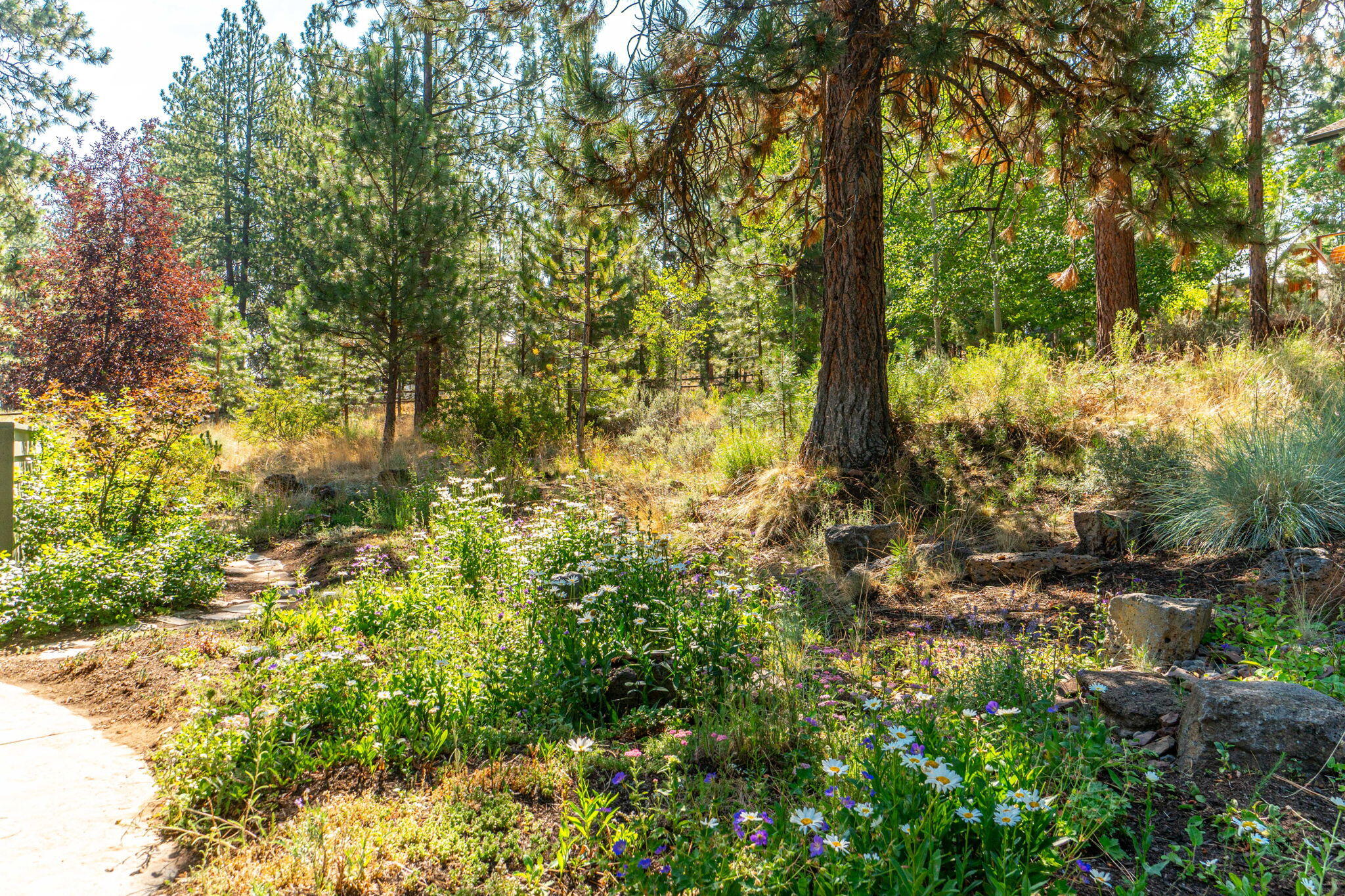 Skyliner Summit - Residential