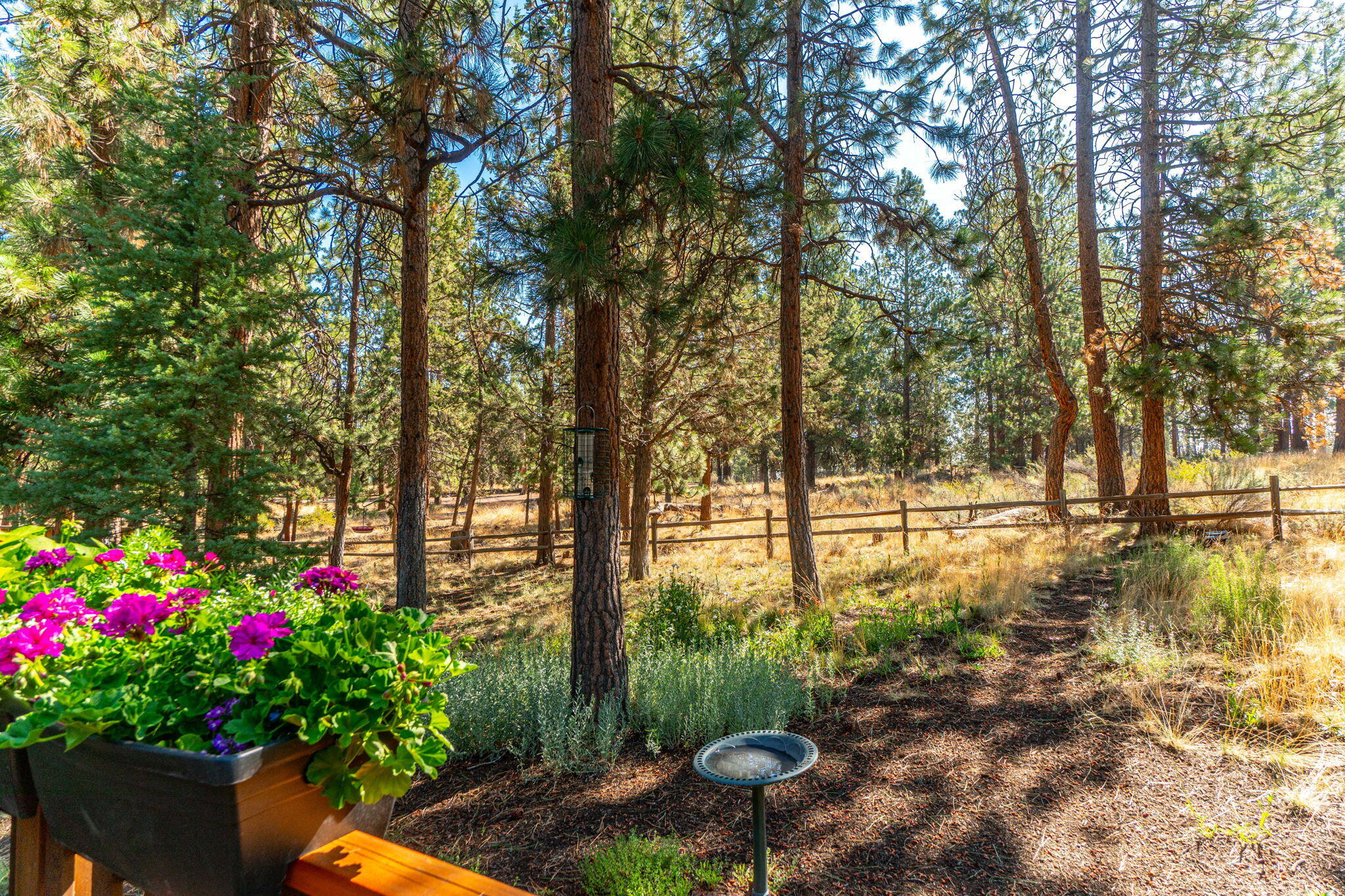 Skyliner Summit - Residential