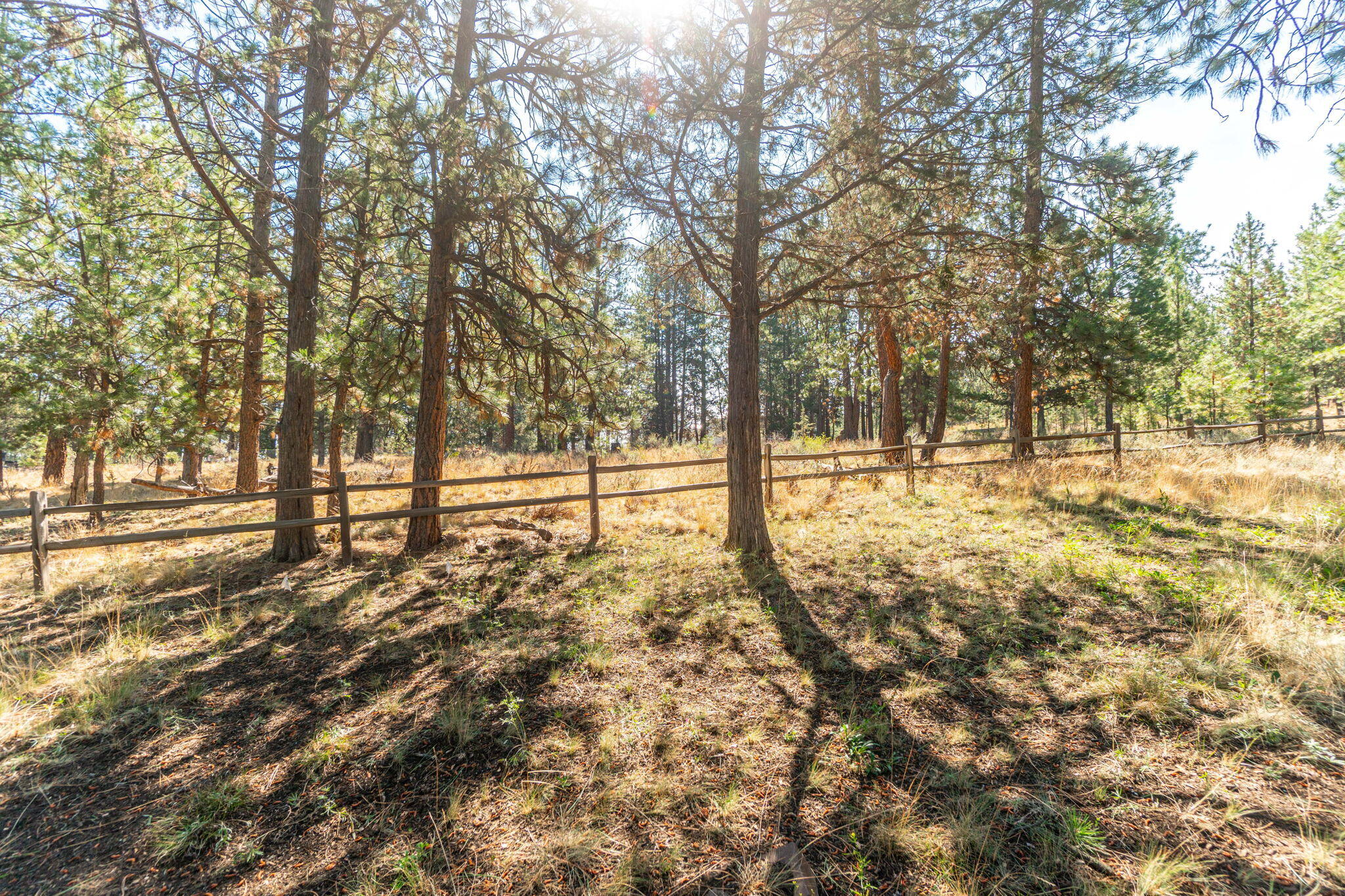 Skyliner Summit - Residential