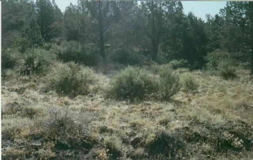 Very Nice Hillside Acreage With View, South West Exposure, Partly Wooded, With Good Road To Property And Power Near By.