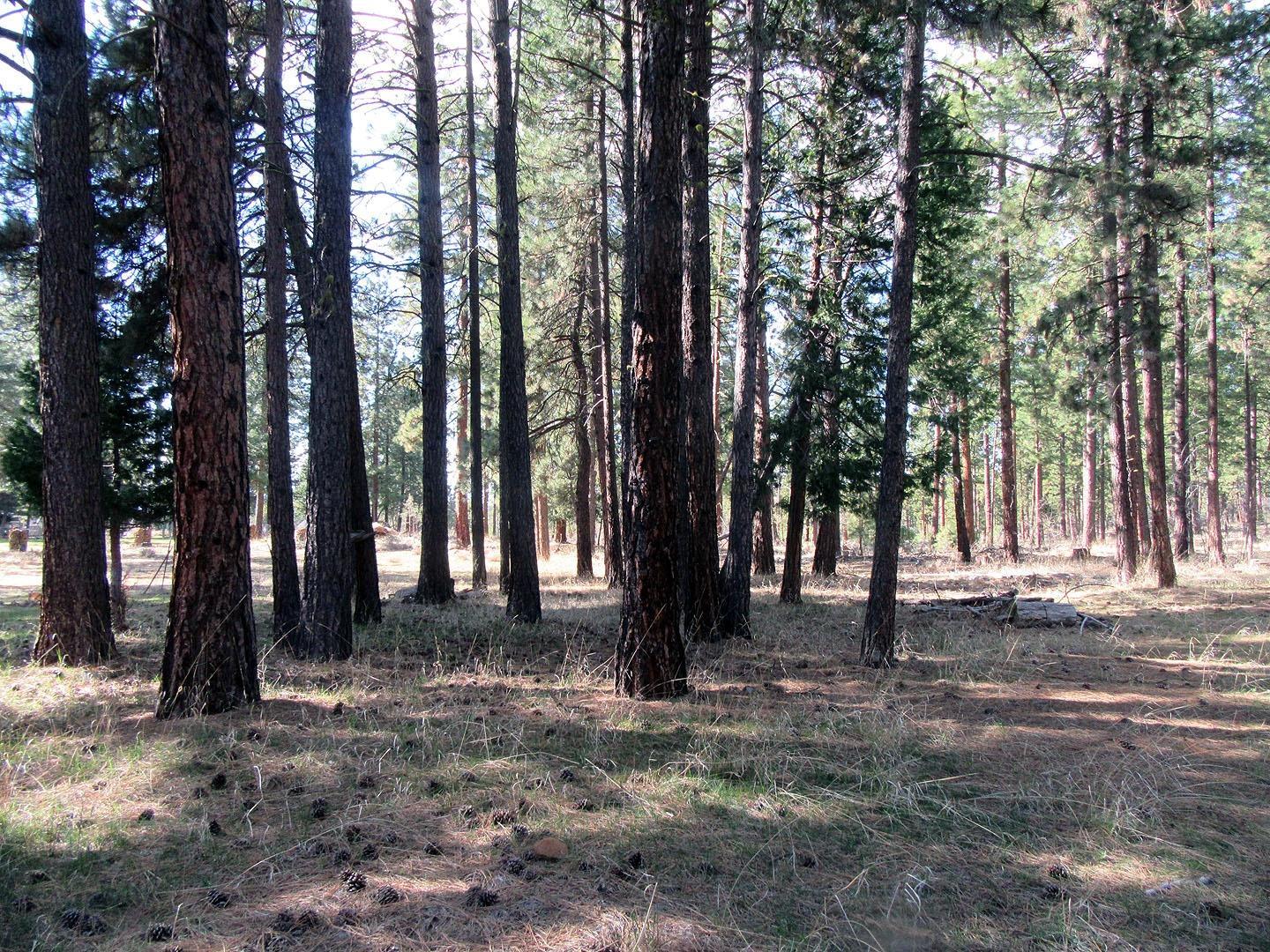 Klamath River Acres - Residential