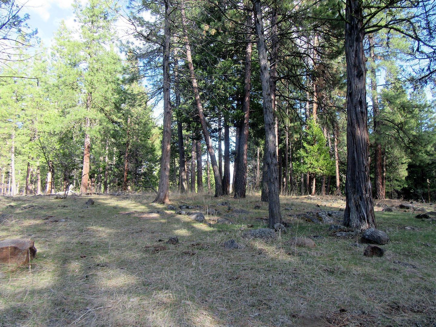 Klamath River Acres - Residential