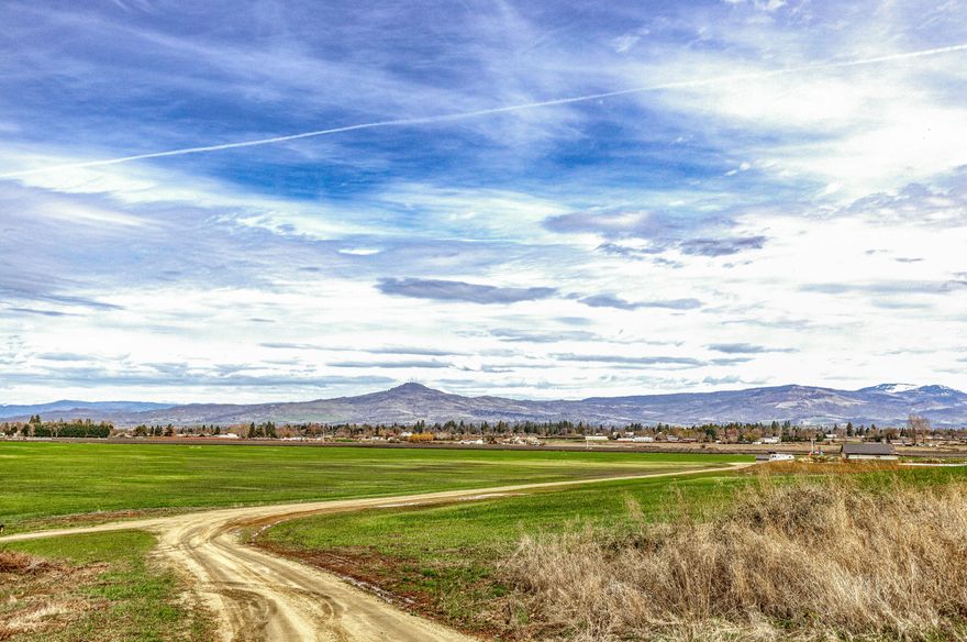 Discover 72 acres of prime land in the heart of Southern Oregon wine country, adjacent to Historic Jacksonville. With irrigation rights and flat, tillable ground, this parcel is perfect for your dream home or agricultural venture. Enjoy breathtaking views of rolling hills and distant mountains, offering daily inspiration. County approval for a homesite ensures you can build amidst this natural beauty. Whether you dream of a vineyard soaking in the Oregon sun or fields of hay swaying in the breeze, the possibilities are endless. Experience the harmony of rural living and modern convenience, with Jacksonville's historic charm just moments away. Seize the chance to create your own haven in this excellent location, where the allure of Southern Oregon's wine country awaits. Buyer to complete their own due diligence with regards to any and all uses.