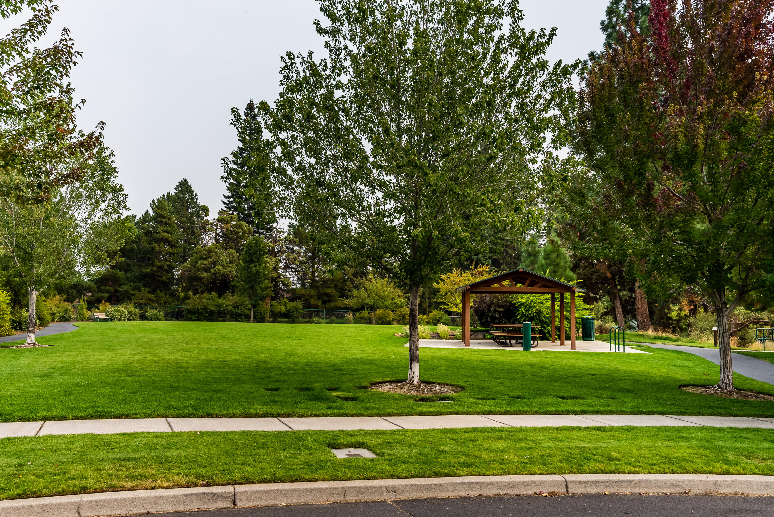 Chestnut Park - Residential