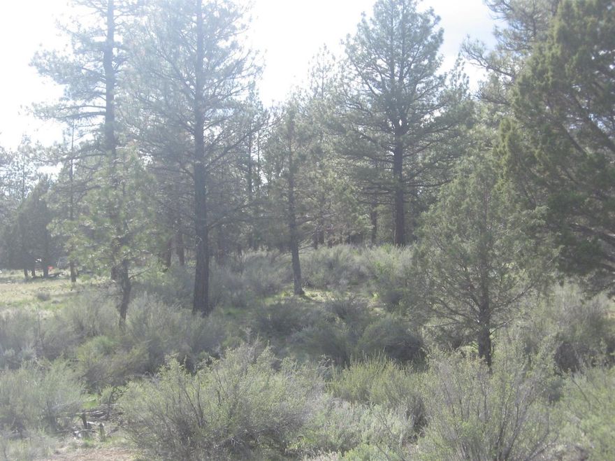 Close to National Forest and lots of wildlife! Partially wooded and mostly level. Perfect for that rural get-away or year around living! Power at the road!