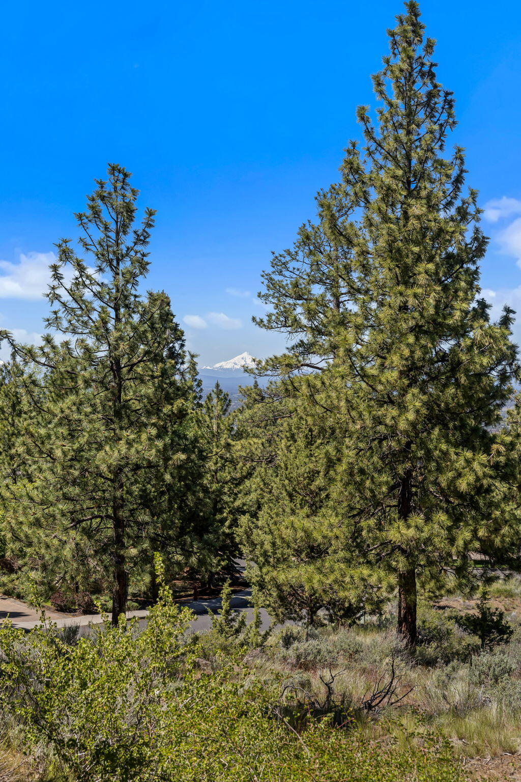 Awbrey Butte - Residential
