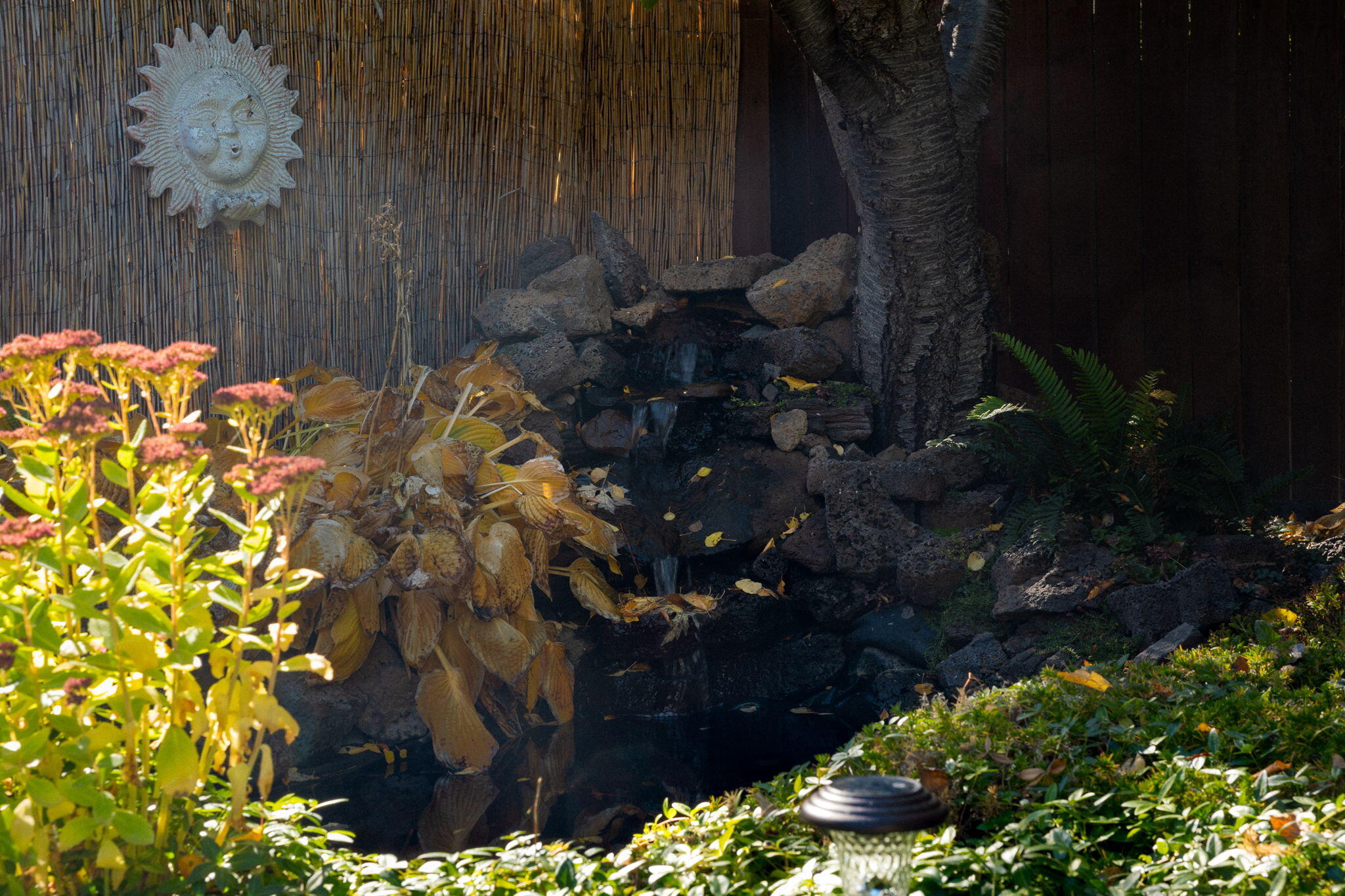 Hayden View - Residential