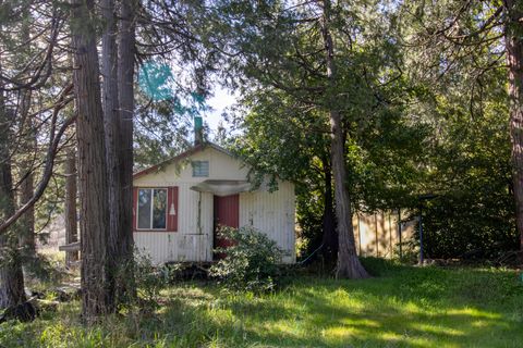 Tiny photo for 297 Warren Road, Selma, OR 97538 (MLS # 220217094)