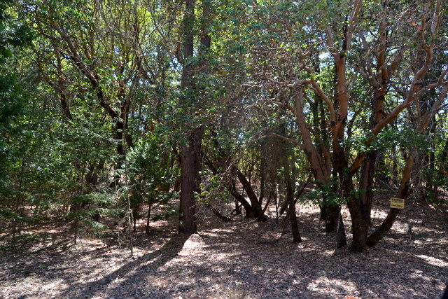 Shady Knoll Acres Subdivision - Land