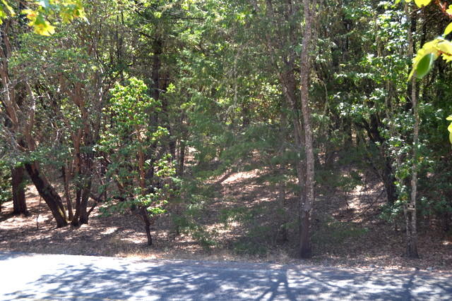 Shady Knoll Acres Subdivision - Land