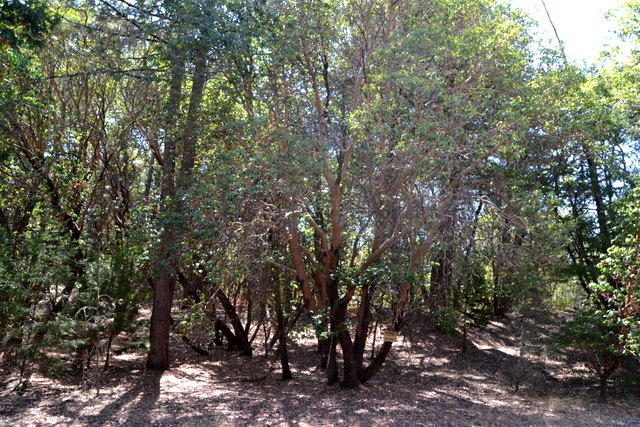 Shady Knoll Acres Subdivision - Land