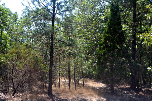 Shady Knoll Acres Subdivision - Land