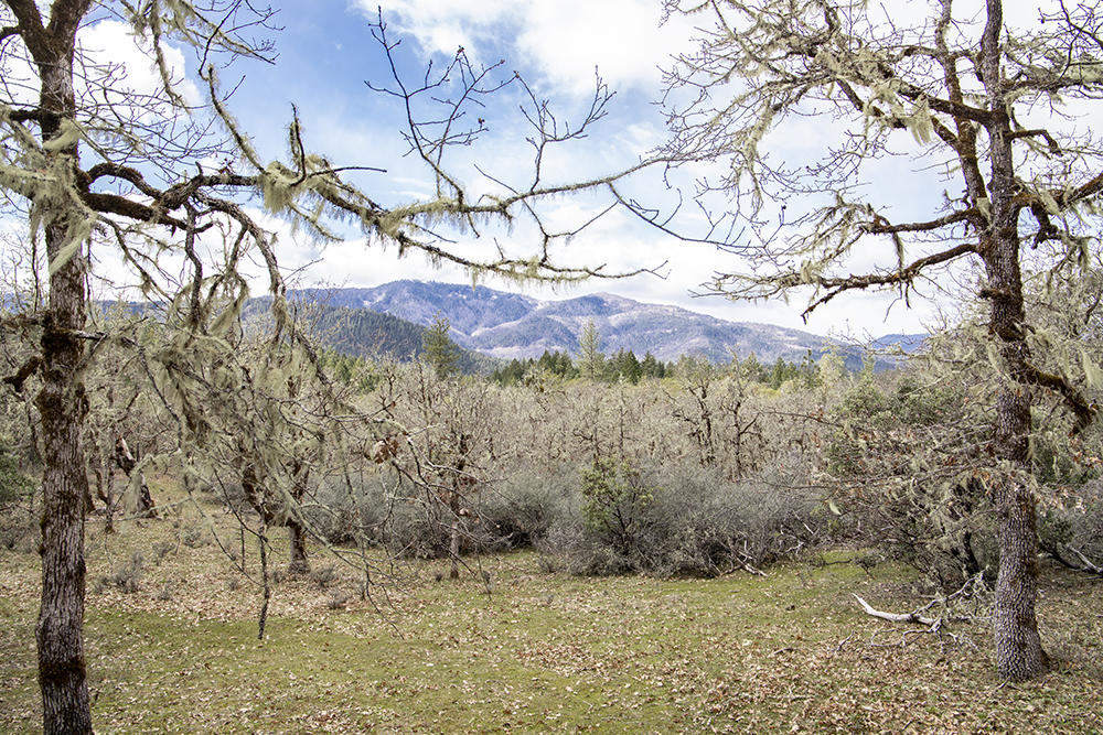 Shadow Hills Estates Subdivision - Residential