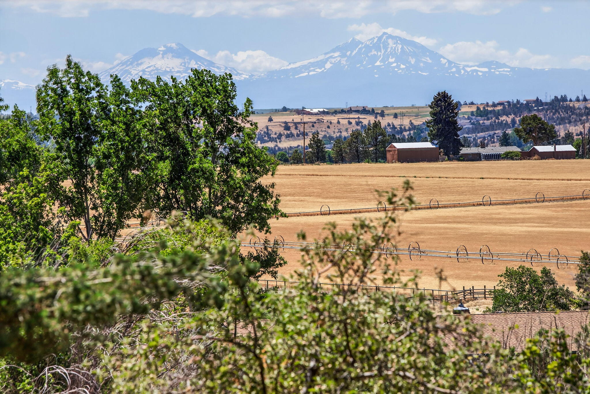 Bierly Acres - Residential