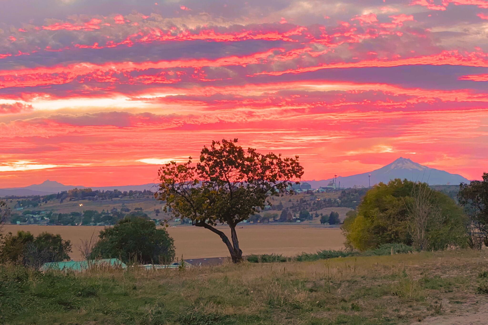 Bierly Acres - Residential