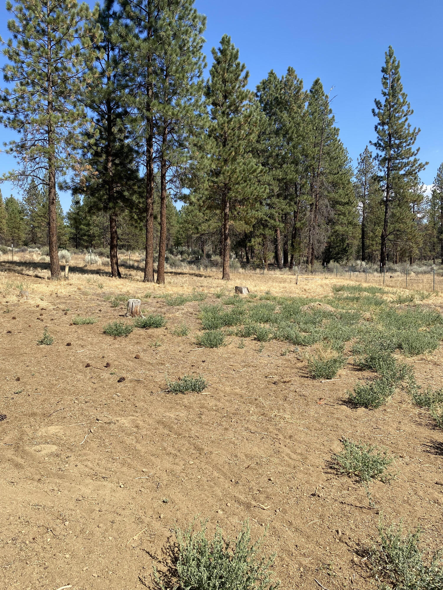 Klamath Falls Forest Estates -Sycan Unit - Residential