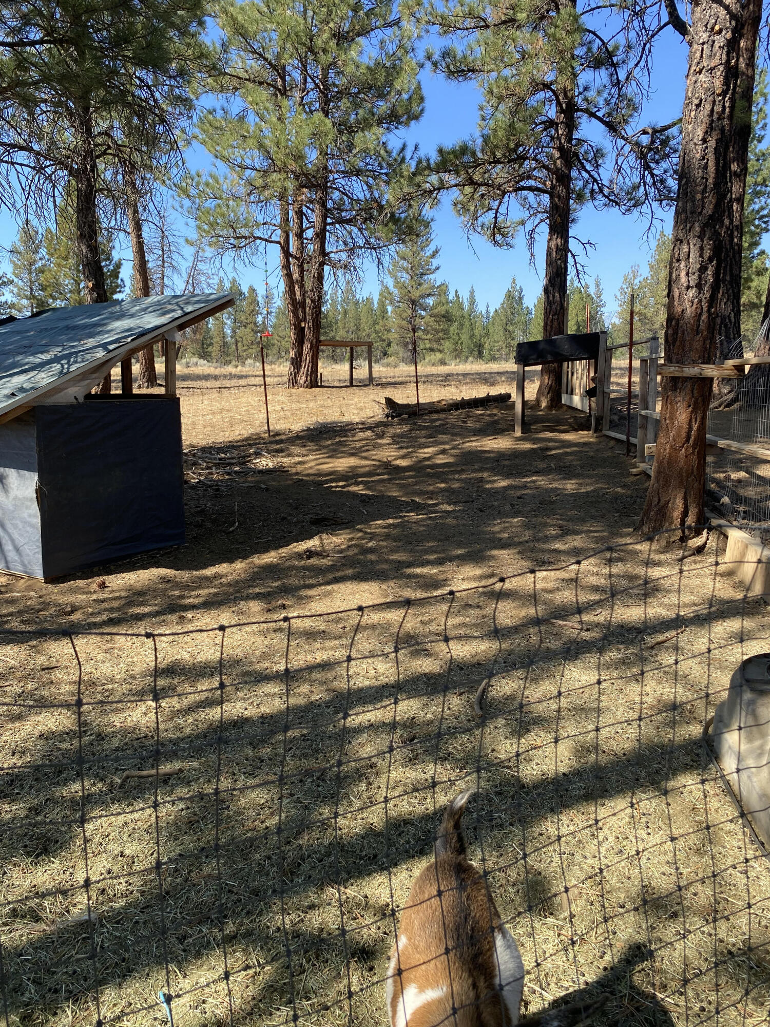 Klamath Falls Forest Estates -Sycan Unit - Residential