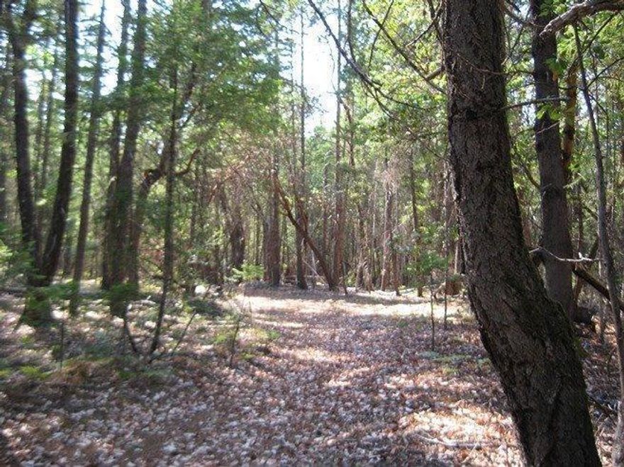 Buildable 2.58 level acres ready for you to start your new dream home. The property is flat, wooded and unimproved. Neighboring properties have been developed already. Deeded access to Rogue River. Utilities at the road. BLM properties across the street. See aerial picture.