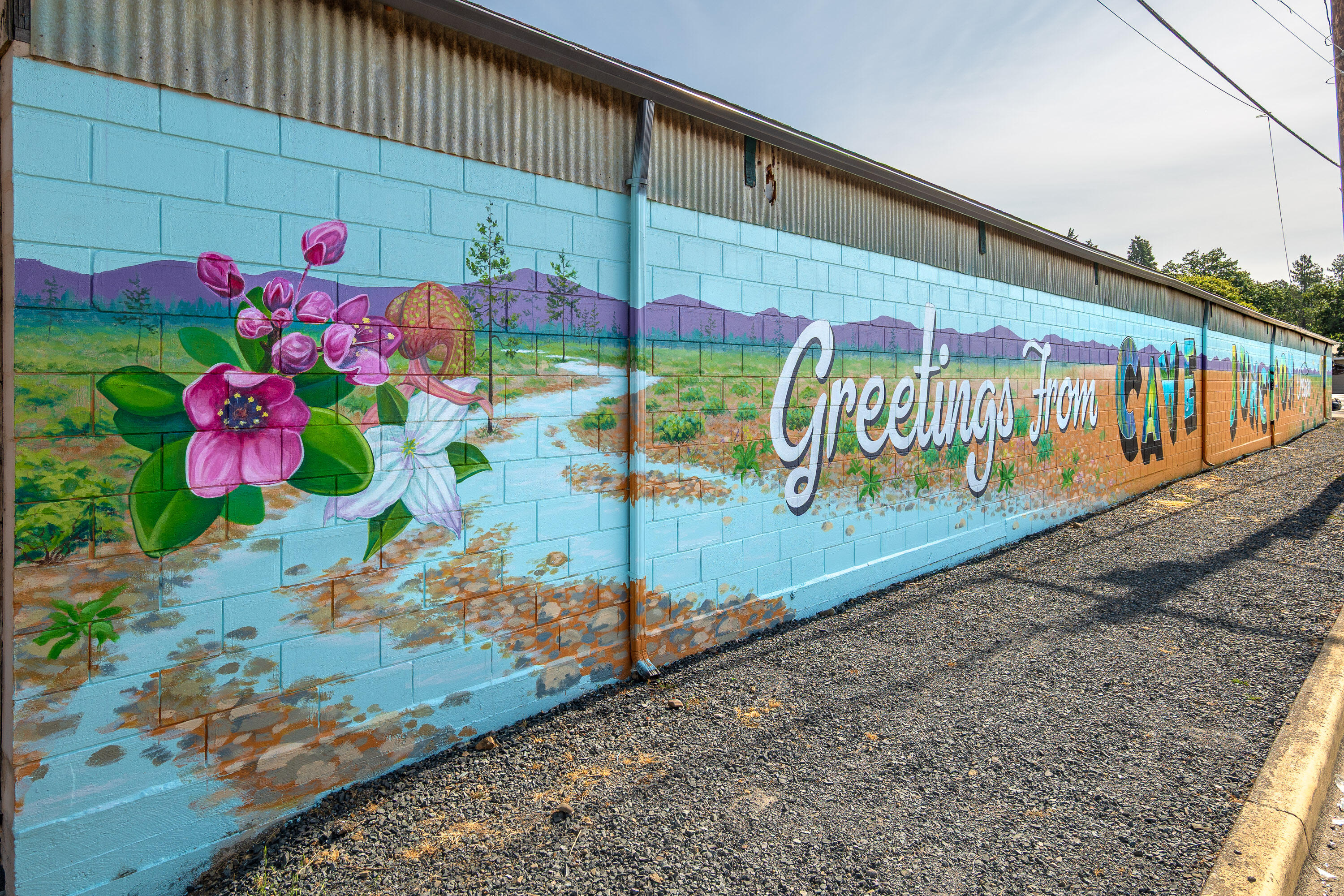 Cave Junction - Commercial Sale