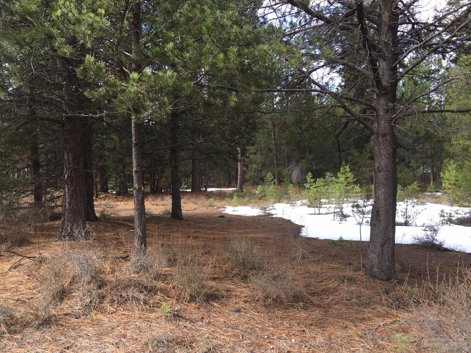 River Pine Estates - Land