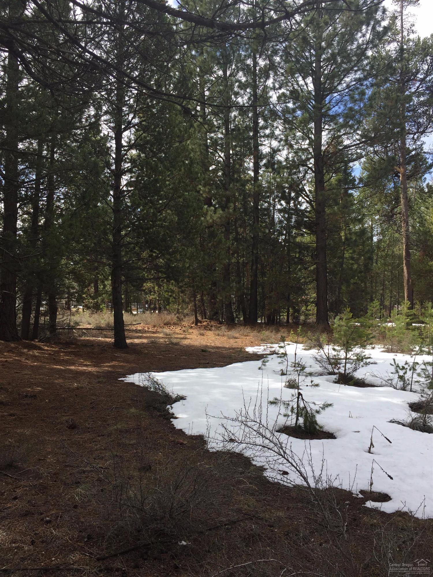 River Pine Estates - Land