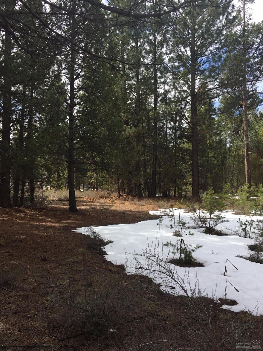 Beautiful level lot with mature Ponderosa Pines on 1.30 acres. Ready to build your dream home. Buyer to do own due diligence regarding Septic Feasibility with Klamath County. Property has a well.