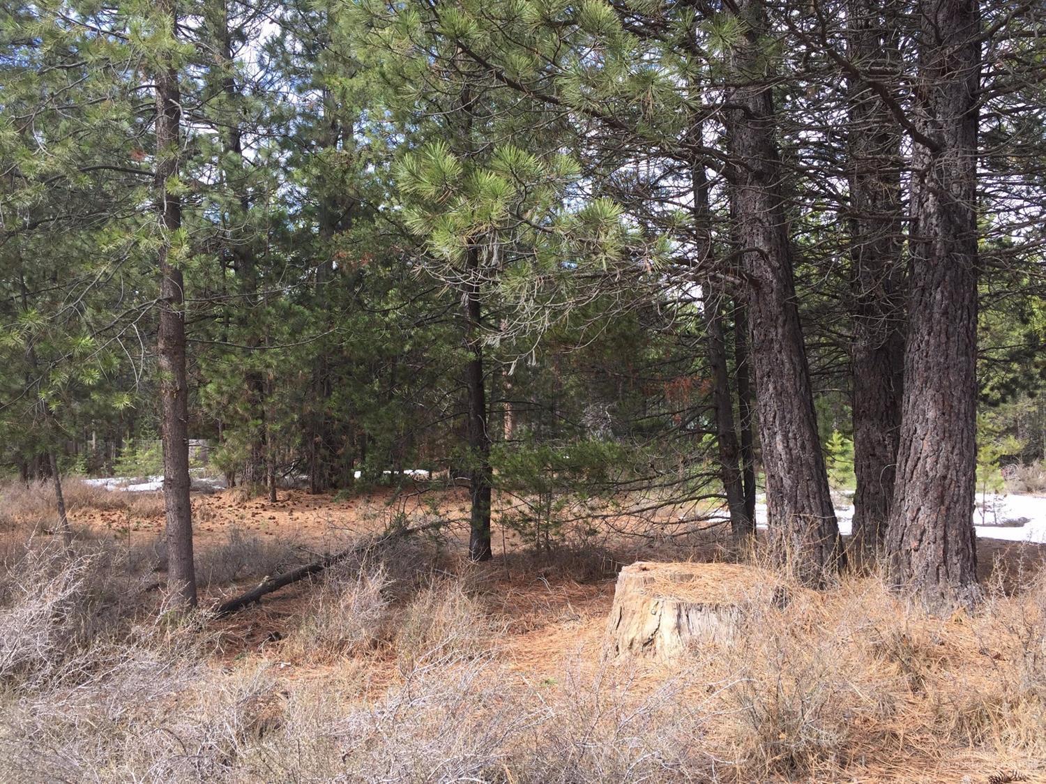 River Pine Estates - Land