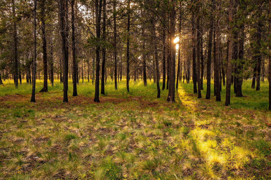 River Meadows - Residential