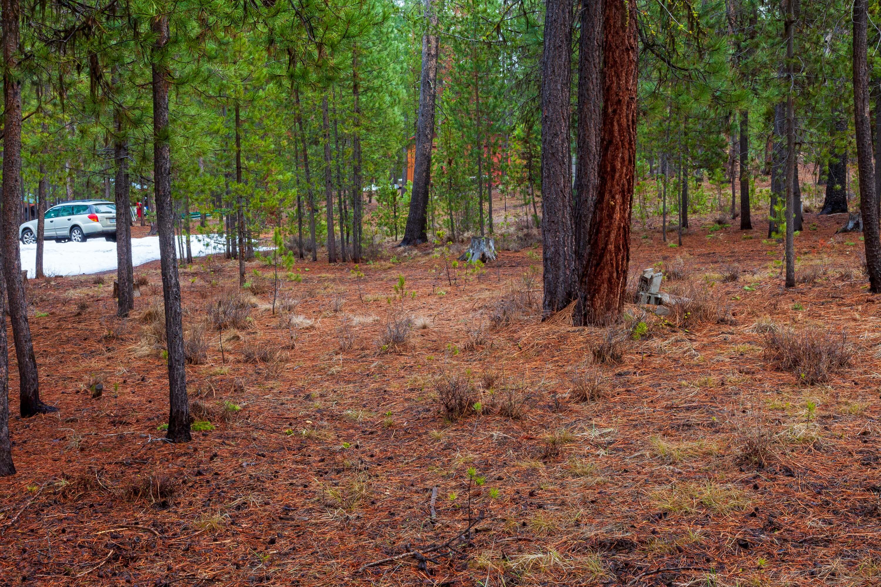 Fall River Estate - Land