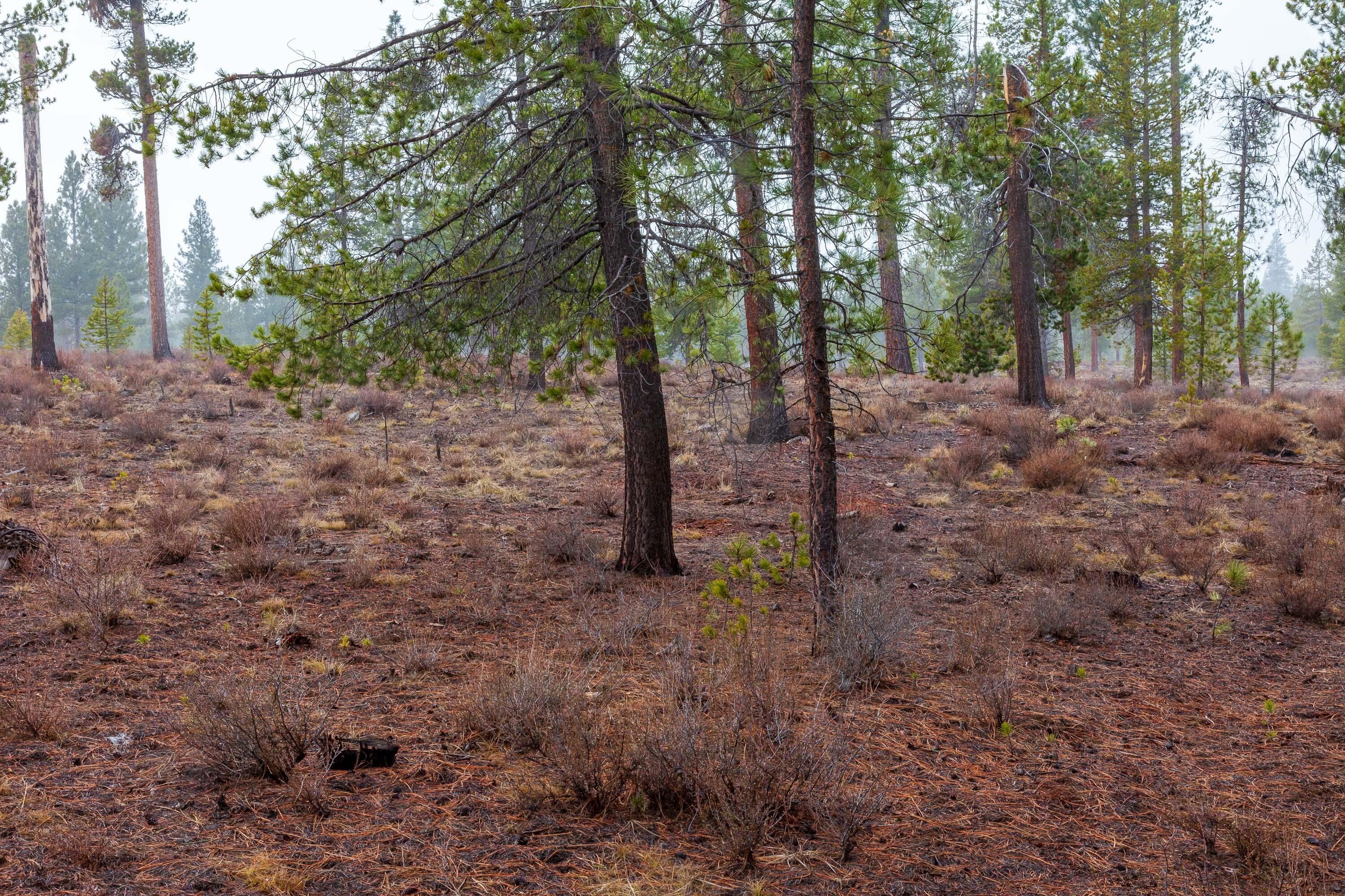 Fall River Estate - Land