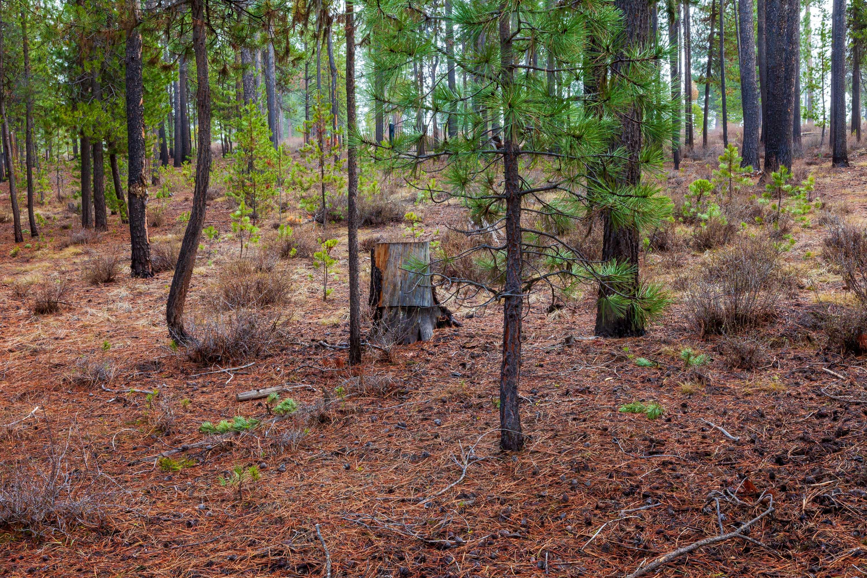 Fall River Estate - Land