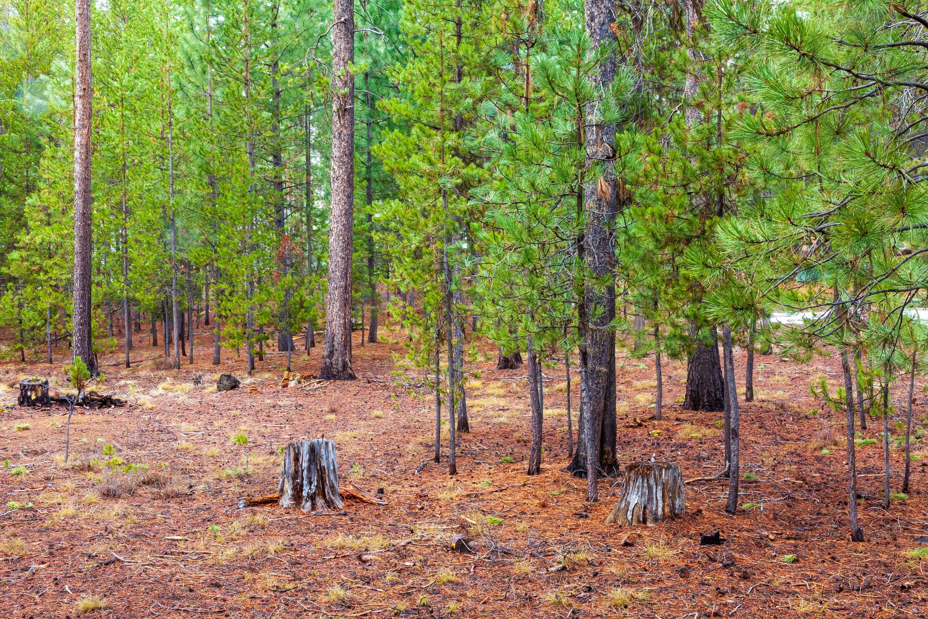 Fall River Estate - Land